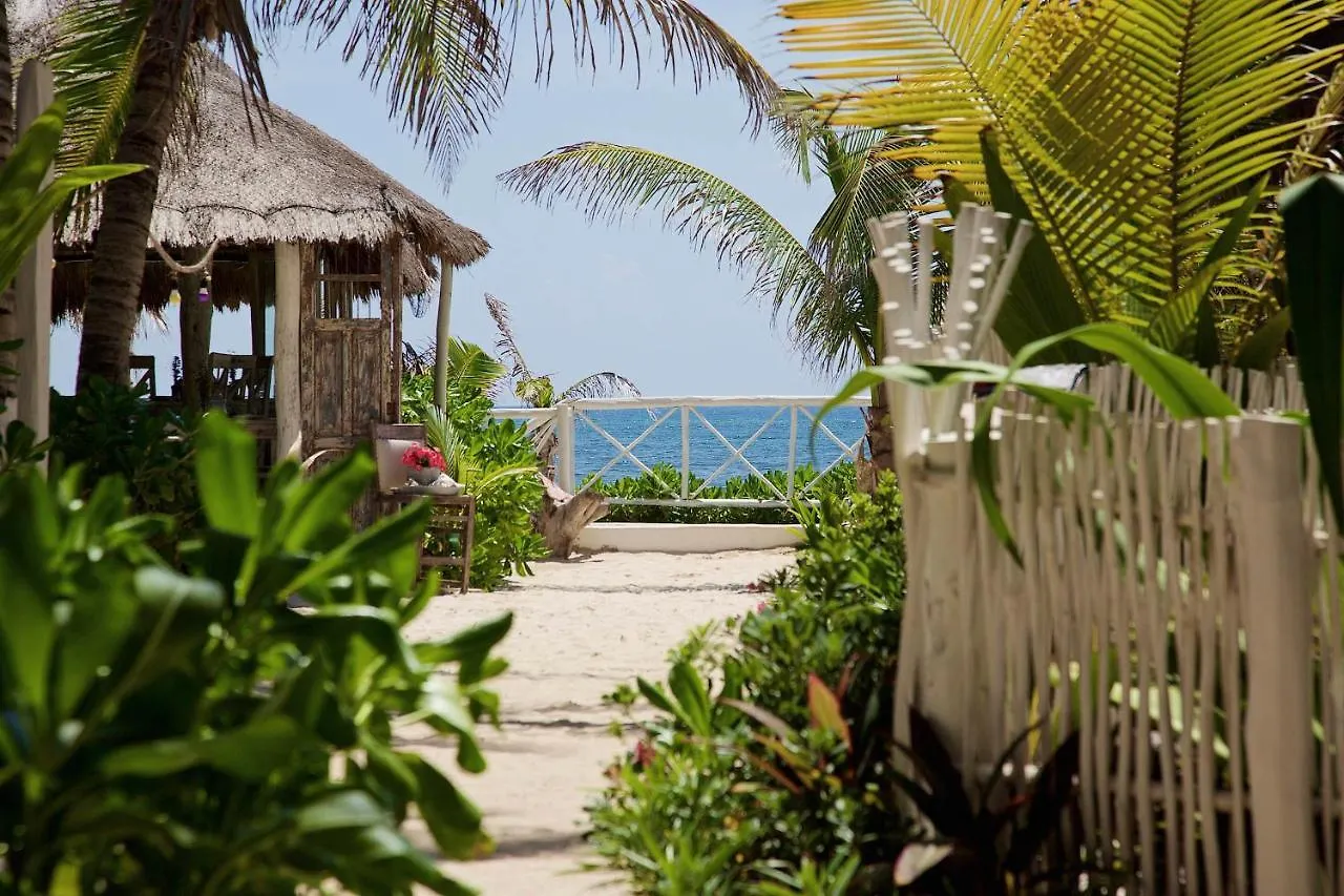 Punta Piedra Beach Posada Tulum Hotel