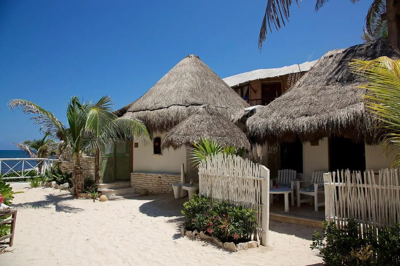 *** Hotel Punta Piedra Beach Posada Tulum Mexico