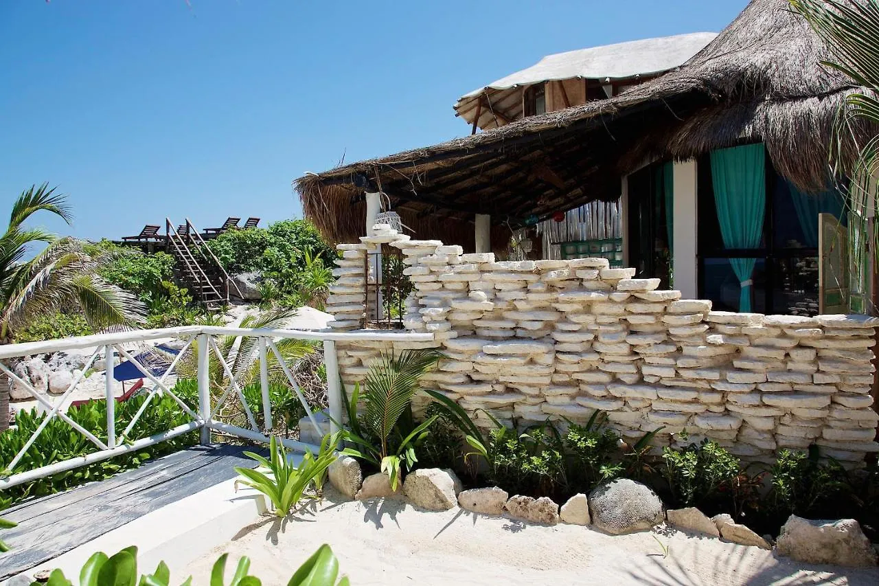 Punta Piedra Beach Posada Tulum Hotel