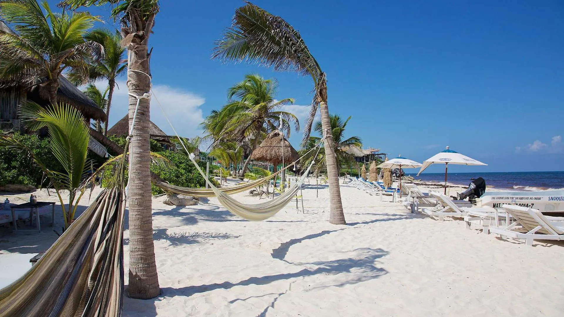 Punta Piedra Beach Posada Tulum Hotel