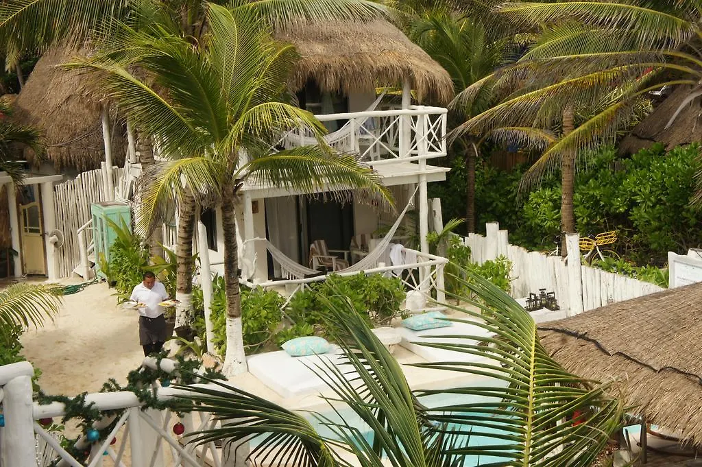 Punta Piedra Beach Posada Tulum Hotel